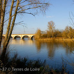 à la confluence de la Loire et du Cher
