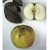pomme reinette du Vigan