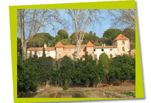 Domaine De Blanes