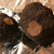 truffe de Bourgogne