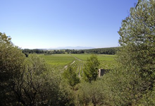 Domaine Riere Cadene