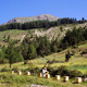 Apiland, miellerie du vieux moulin