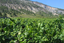 Domaine de la Clochère