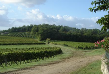château La Rose Poncet