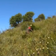 Corsica PAM, La Maison des senteurs