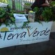 A terra verde