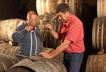 Cognac Esteve