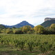 Chateau de lascaux