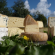 Fromagerie DARLEY