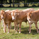 La Ferme Bio du Maneo