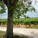 Domaine de la Gauche