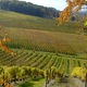 Chateau Belingard