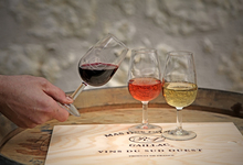 Vins de Gaillac du domaine MAS DES COMBES