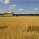 Brasserie des Garrigues