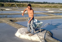 Les salines du vent infernal