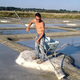 Les salines du vent infernal
