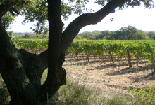 Domaine le Grangeot