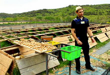 Les Escargots De L'enclave