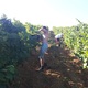 Domaine Bouché