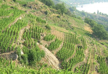 Domaine François Villard