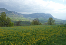 Fromagerie Entre Lac Et Montagne