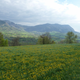 Fromagerie Entre Lac Et Montagne
