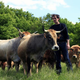 Ferme Des Beguets