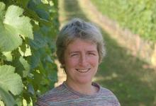 Domaine Bonnardot