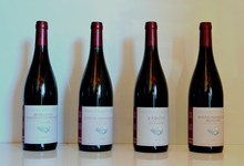 AOC Beaune 1er cru - Belissand 2010