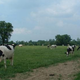 Ferme du Bourg Groux