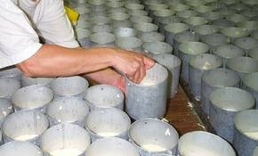 fromagerie reaux lessay Fromagerie - crèmerie manche : retrouvez les coordonnées de toutes les meilleurs adresses produits gourmands - vins fromagerie - crèmerie du petit futé (fromagerie du pain d'avaine, chÈvrerie des poitevines, la cave À. fromagerie reaux lessay Fromagerie - crèmerie manche : retrouvez les coordonnées de toutes les meilleurs adresses produits gourmands - vins fromagerie - crèmerie du petit futé (fromagerie du pain d'avaine, chÈvrerie des poitevines, la cave À.