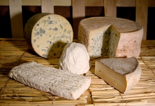 Fromagerie du Forez