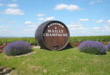 Champagne Vanzella
