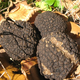 champagne et truffes, Collinet