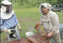 Apidis, les ruchers de Bourgogne