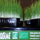 Ecogerme