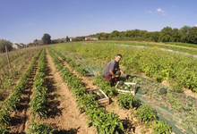 ferme Lafouasse