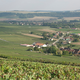 Champagne Christophe Lefevre