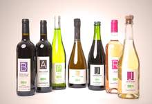 Domaine Philemon Mathieu VIEULES