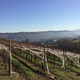 Domaine Cauhape