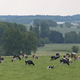 Fromagerie du Pré Joly, EARL la Robichonière