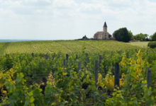 Domaine André Bonhomme