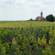 Domaine André Bonhomme