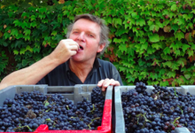 Domaine Voarik Micel