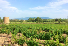 Domaine des deux Blay