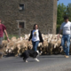 La Ferme de Caplongue