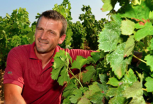 Clos des Boutes