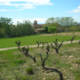 Domaine de Nidolères