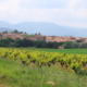Mas Pujol, Domaine la Rourède