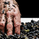 Domaine Moulin De Lene